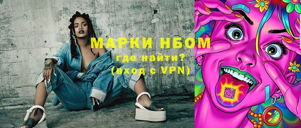 прущие грибы Медвежьегорск