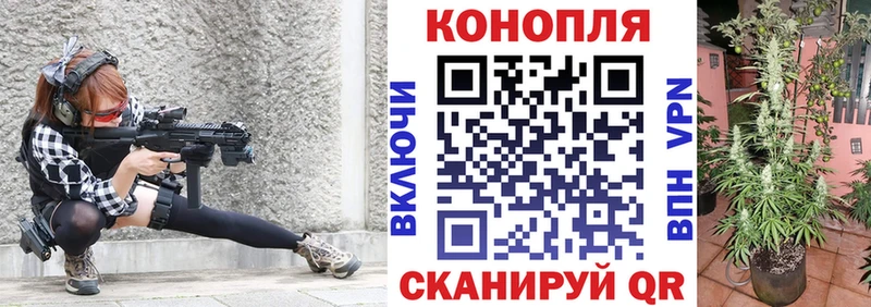 Купить  Череповец  Канабис сатива 